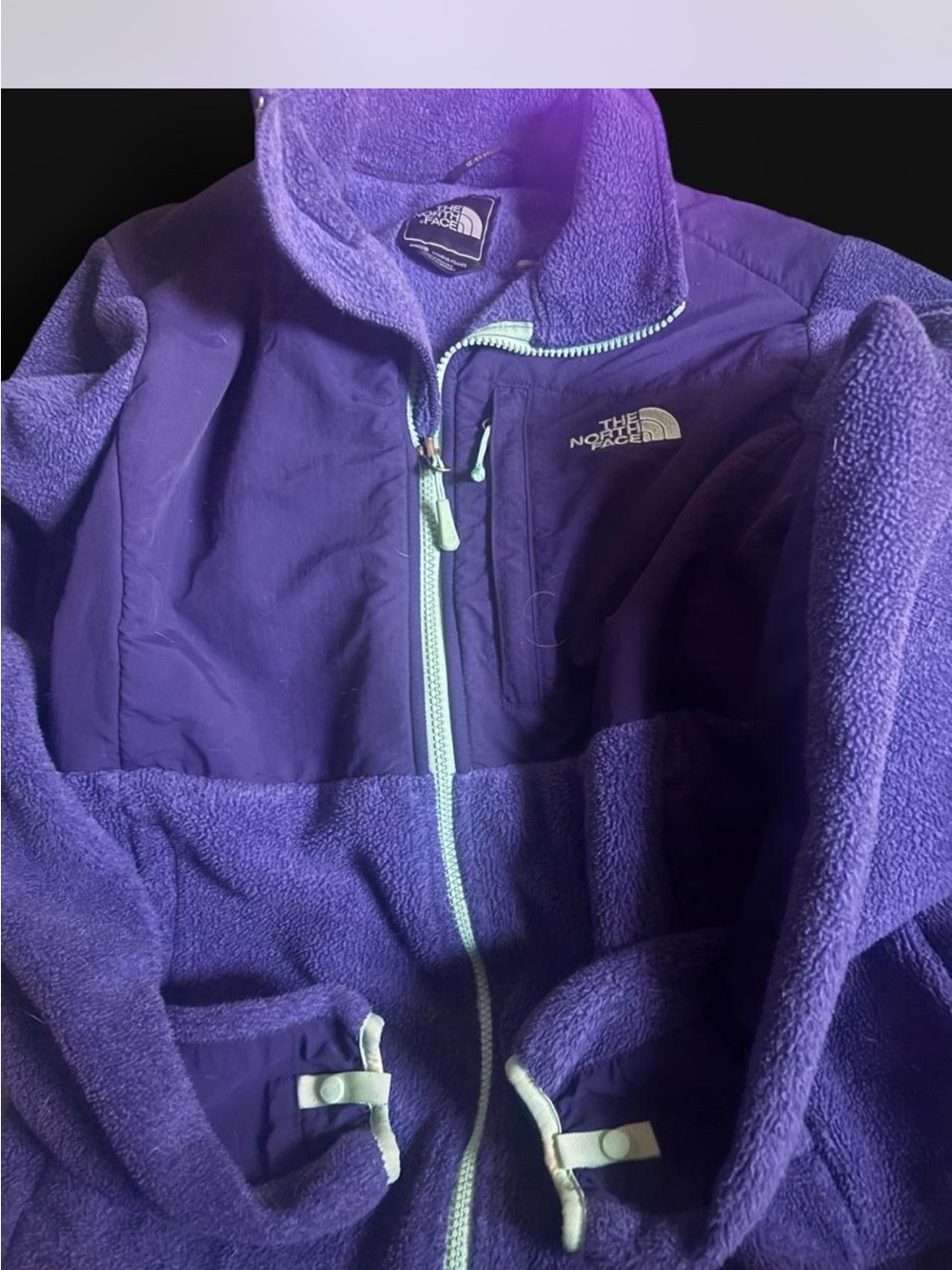 Vintage The North Face Denali